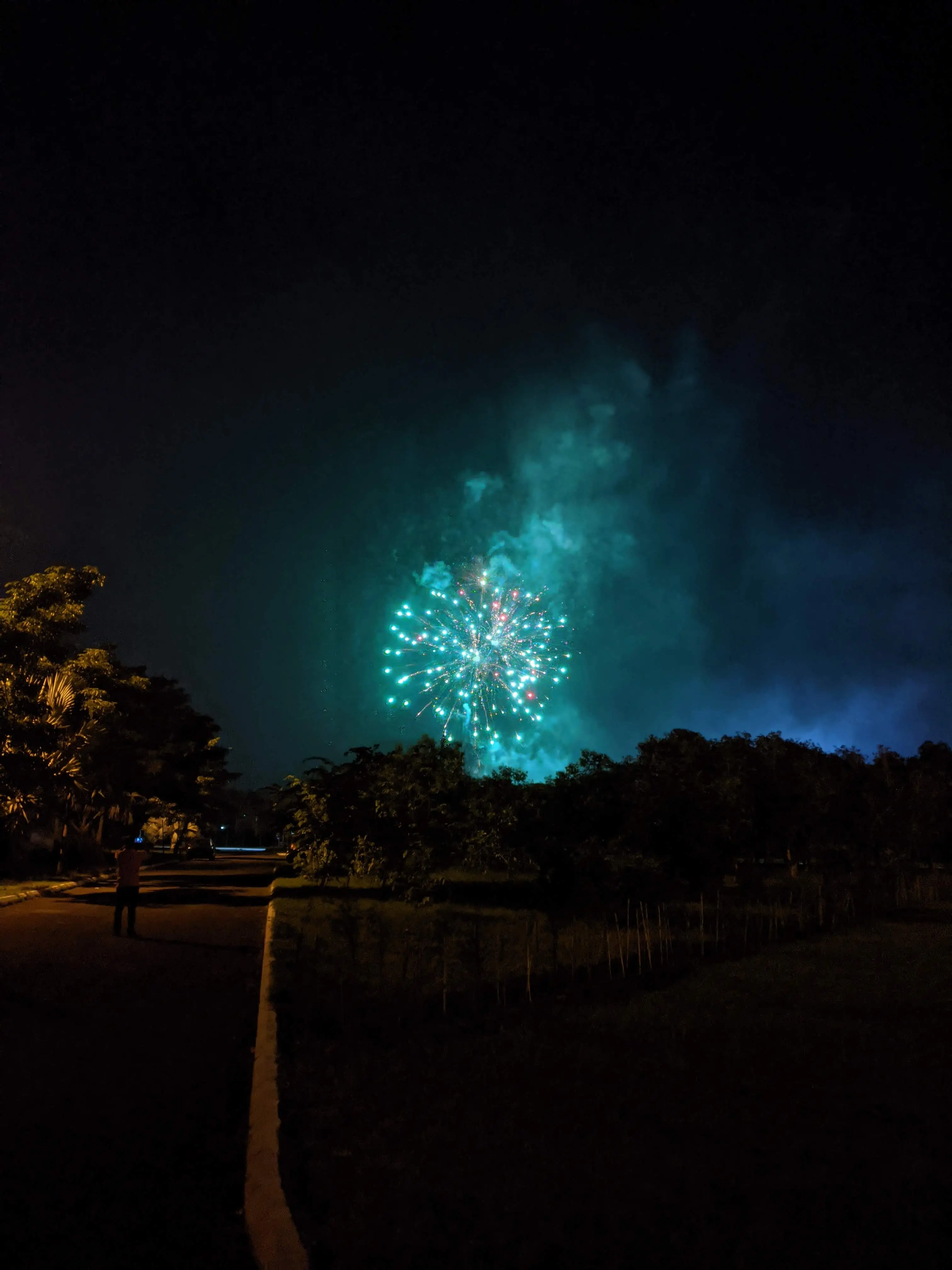 Colorful fireworks lighting up the night sky