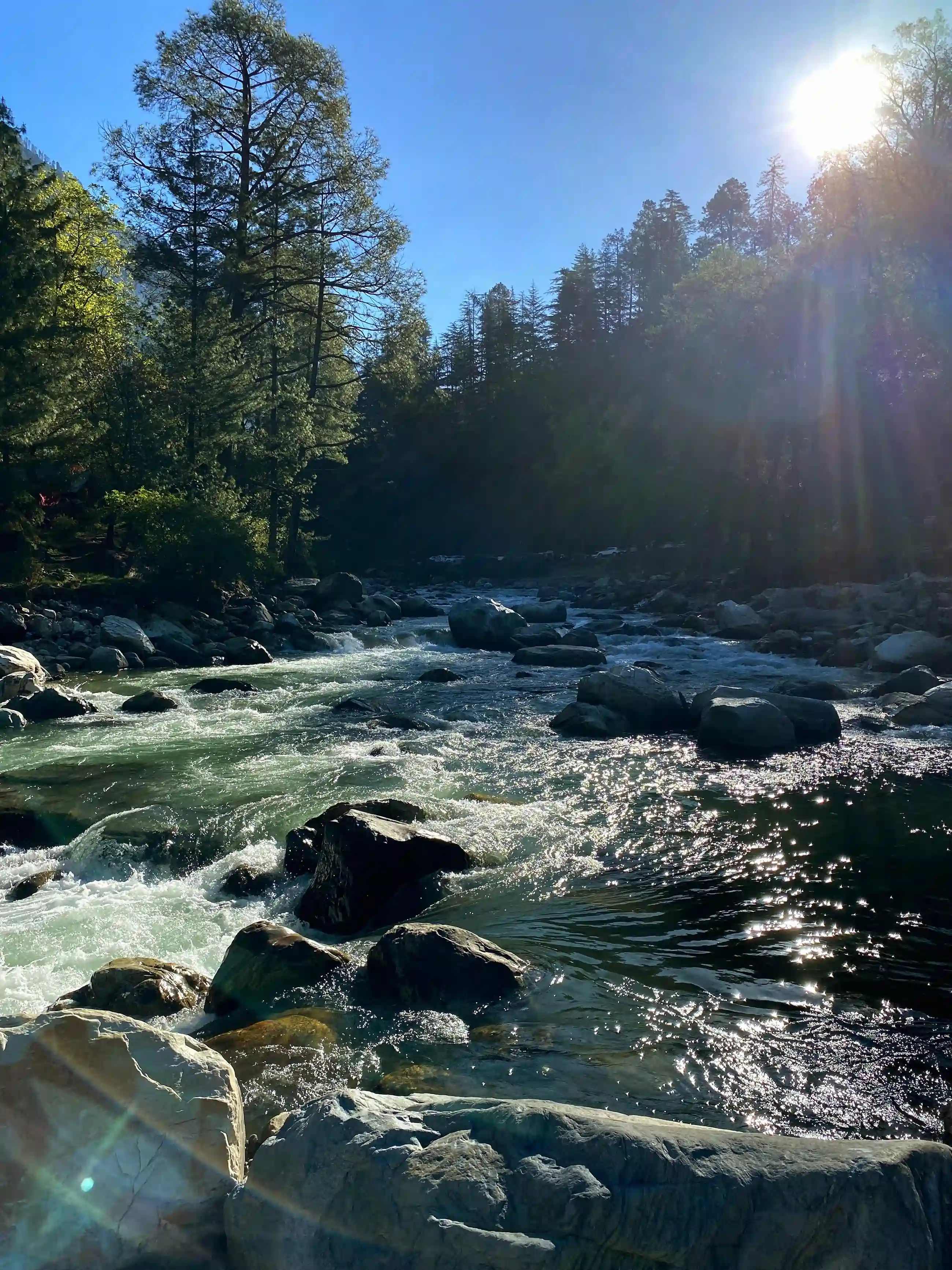 Golden sunlight reflecting on a river